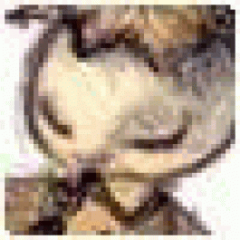 Carlostep