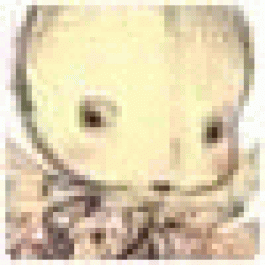 Williamdug