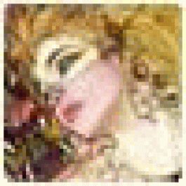 SusanNum