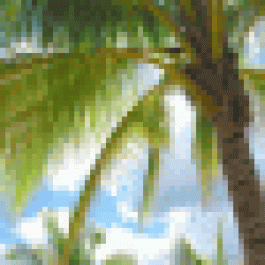 Jackiehar